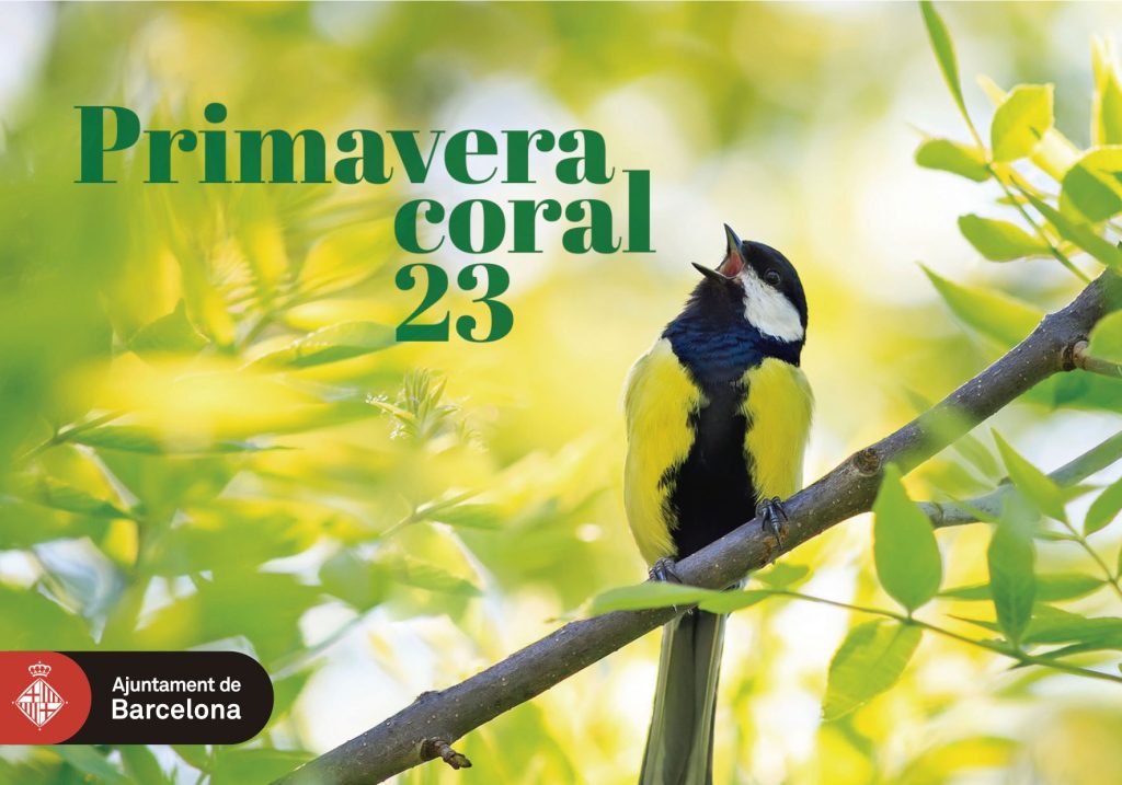Imatge de la Primavera Coral 23: una mallerenga cantant sobre una branca florida.