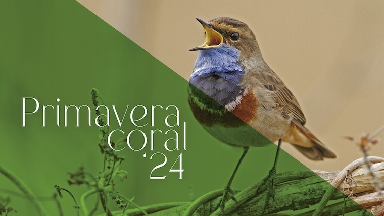 Imatge de la Primavera Coral '24: un ocell cantant sobre una branca.